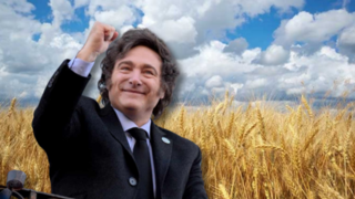 El agro cordobés se dispara: cosecha récord y salto del trigo tras la liberación del mercado