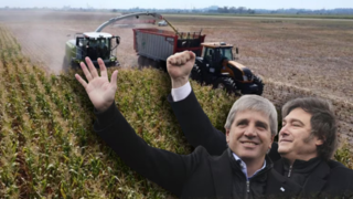 El campo responde al recorte de impuestos y proyectan una cosecha récord con más dólares